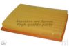 ASHUKI 0396-6401 Air Filter